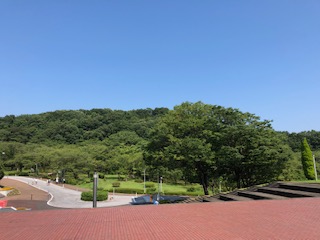 中央大学　多摩キャンパス　自然