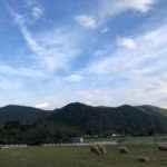 子供大喜び！牧場で秋のBBQ！！動物と自然に癒された日曜日を過ごしたよ！クーラーボックス買おうかな。