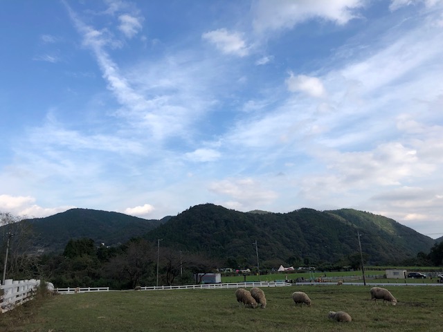牧場　風景